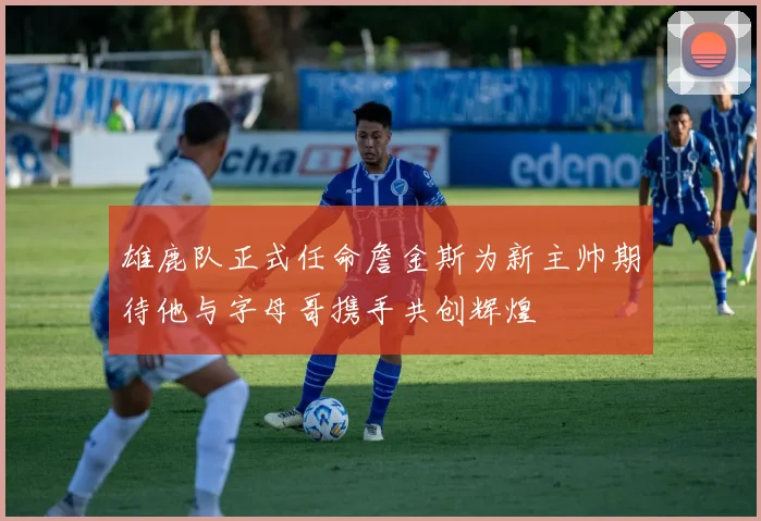 雄鹿队正式任命詹金斯为新主帅期待他与字母哥携手共创辉煌