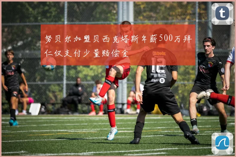 努贝尔加盟贝西克塔斯年薪500万拜仁仅支付少量赔偿金